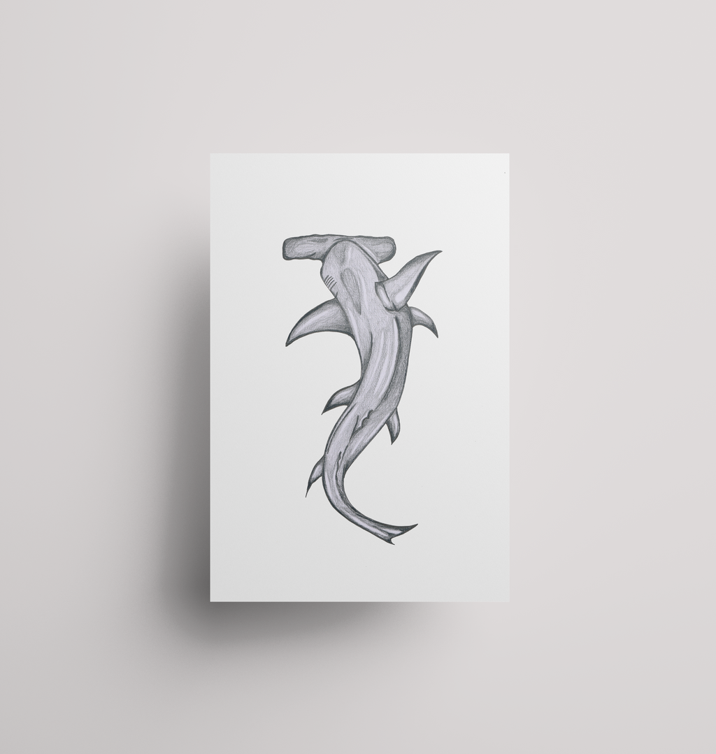 Hammerhead Shark - Print