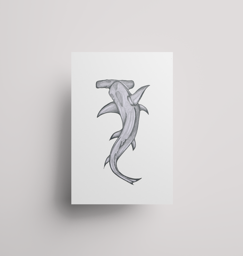 Hammerhead Shark - Print