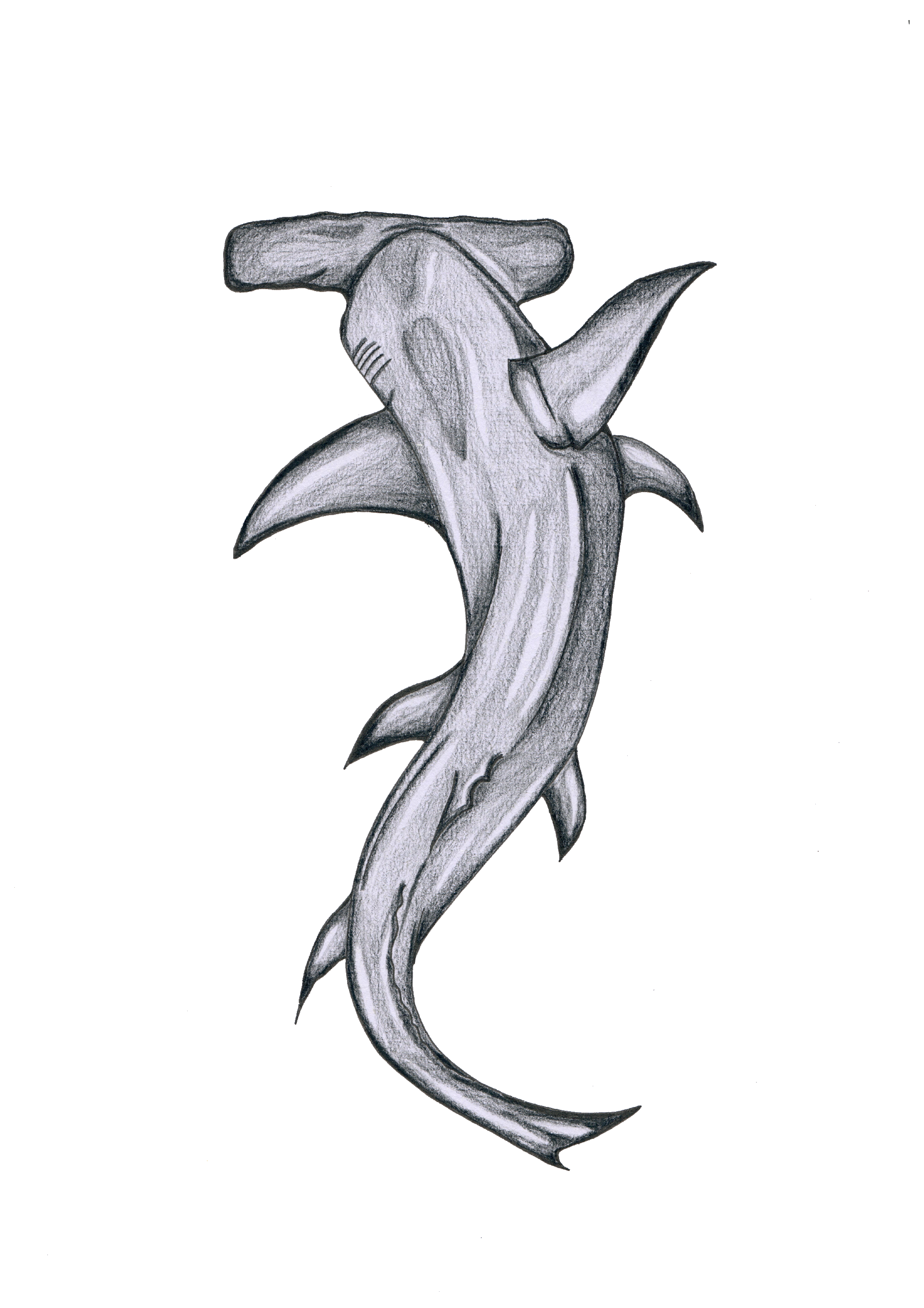 Hammerhead Shark - Print