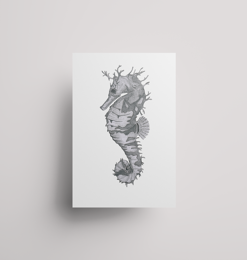 Seahorse - Print