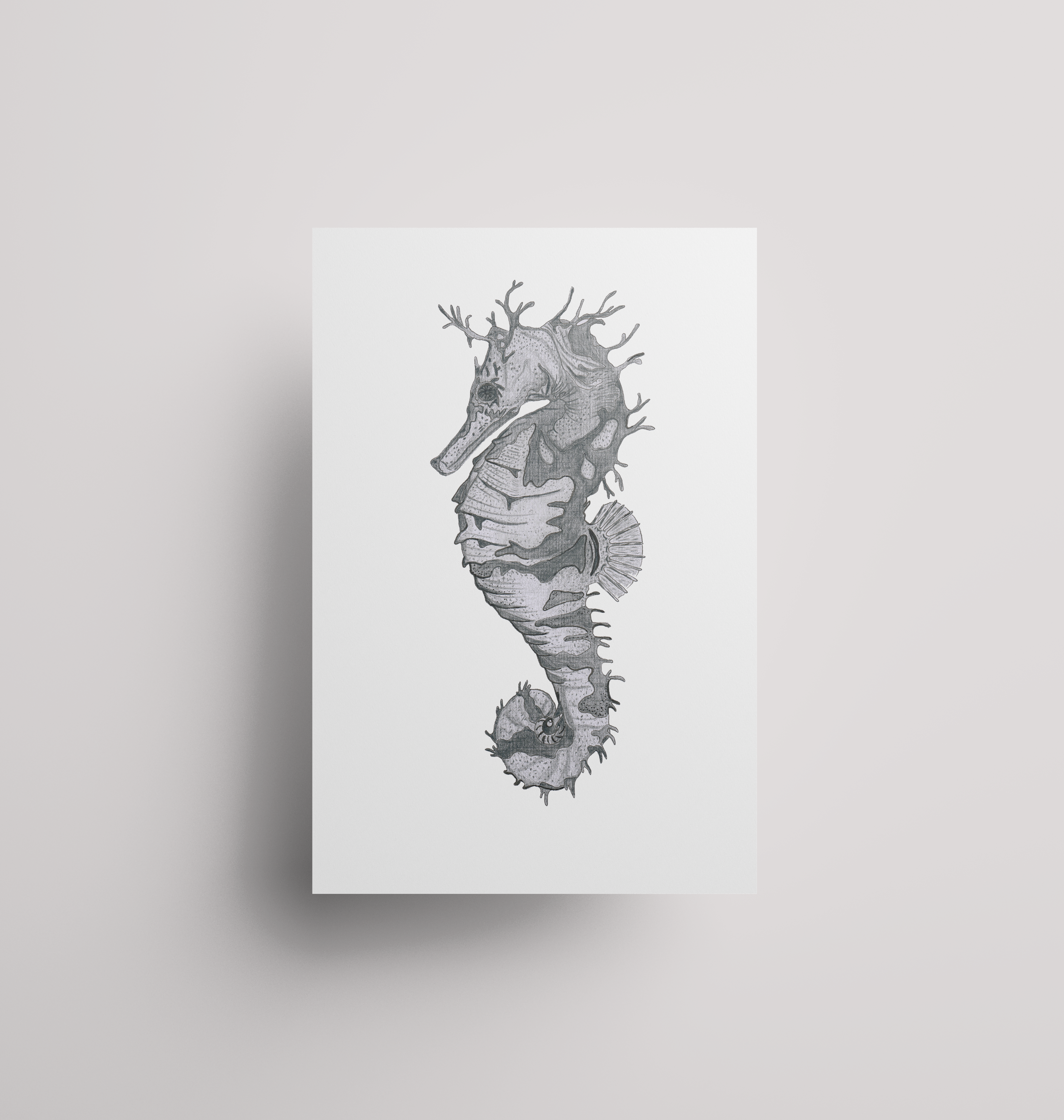 Seahorse - Print