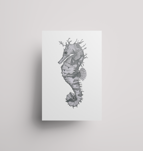 Seahorse - Print